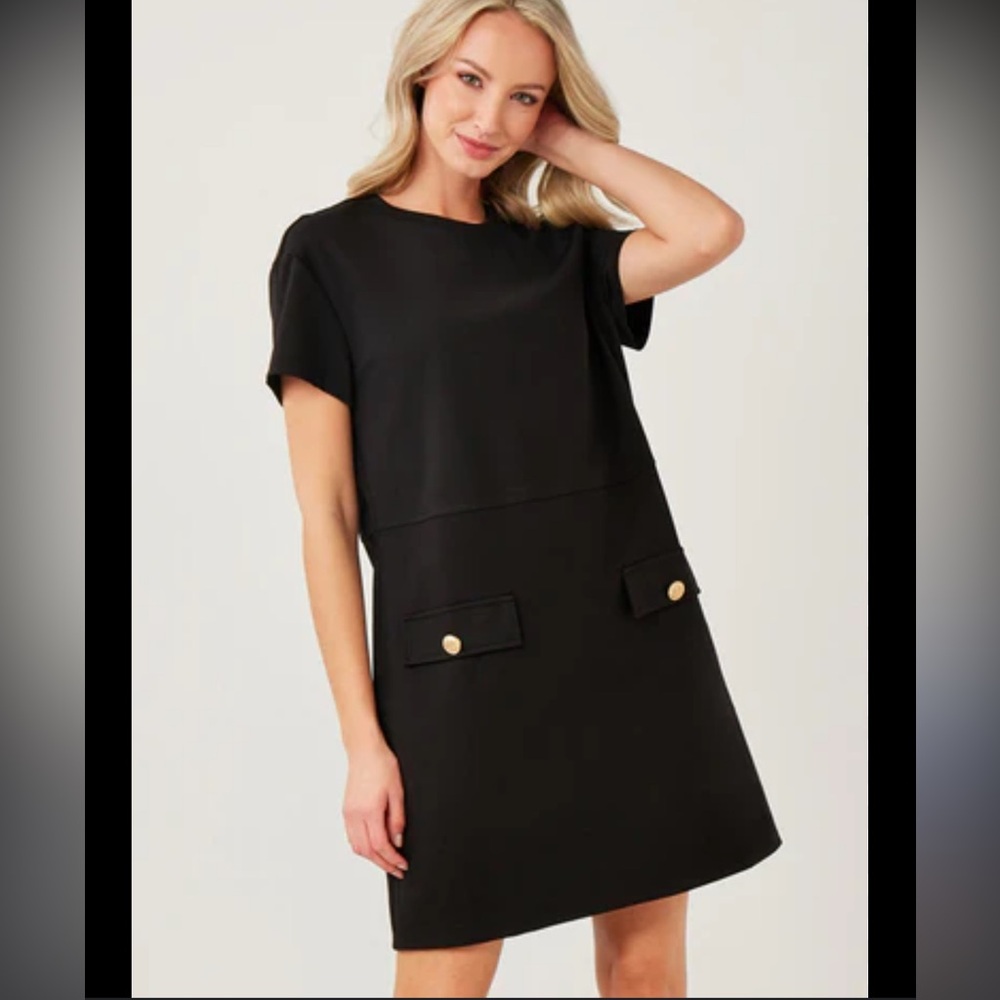Zara Faux Suede Dress
